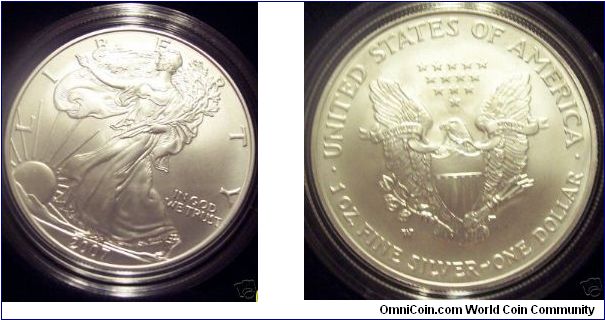 American Silver Eagle Uncirculated Coin. W mint mark.