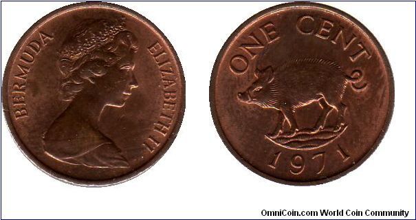 1 cent - Wild boar