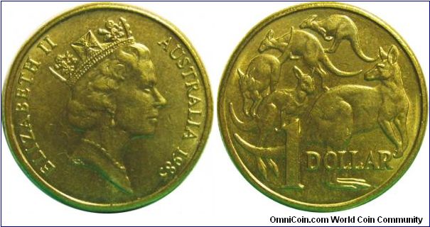 Australia 1985 1 dollar, nice grade found in circulation!
