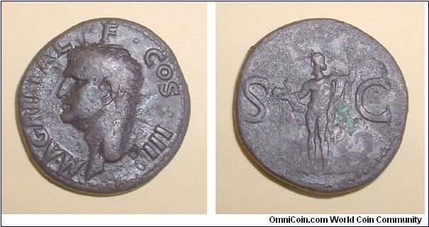 AGRIPPA As(Caligula) - 37/41. Obv.: M AGRIPPA L F COS III Head left, wearing rostral crown. 
Rev.: Neptune standing, head left, holding trident and little dolphin; S C at sides.
g. 10,7 mm. 28