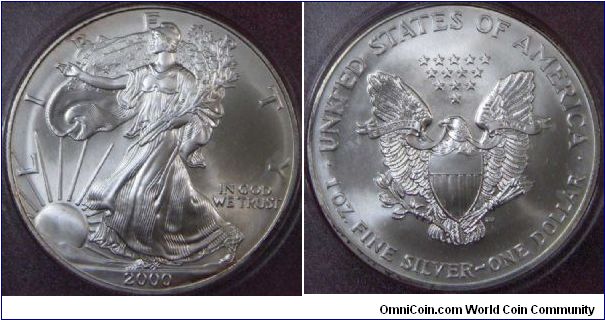 1 oz. Silver Eagle