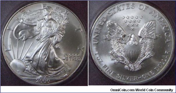 1 oz. Silver Eagle