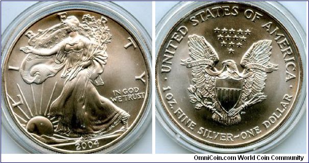 2004
$1 1oz Silver
American Eagle