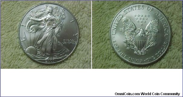 American Silver Eagle