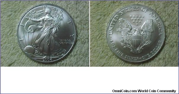 American Silver Eagle