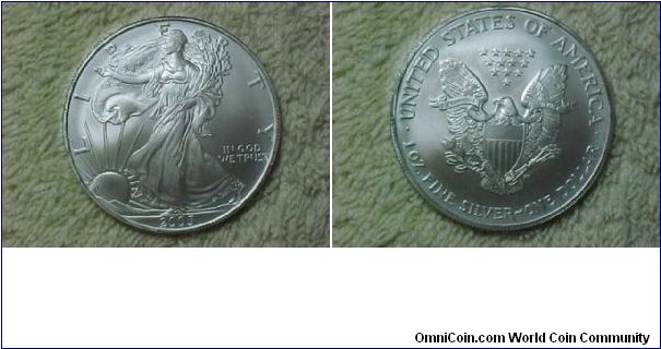 American Silver Eagle