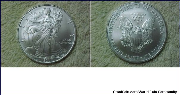 American Silver Eagle