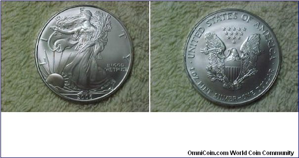 American Silver Eagle