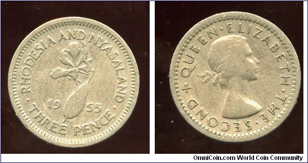 Rhodesia & Nyasaland 
1955
3d Threepence
Flame lily
QEII