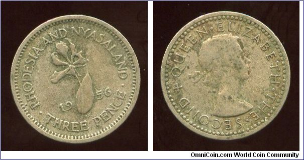 Rhodesia & Nyasaland 
1956
3d Threepence
Flame lily
QEII