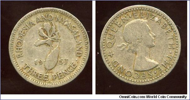 Rhodesia & Nyasaland 
1957
3d Threepence
Flame lily
QEII