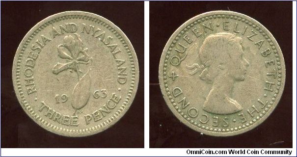 Rhodesia & Nyasaland 
1963
3d Threepence
Flame lily
QEII