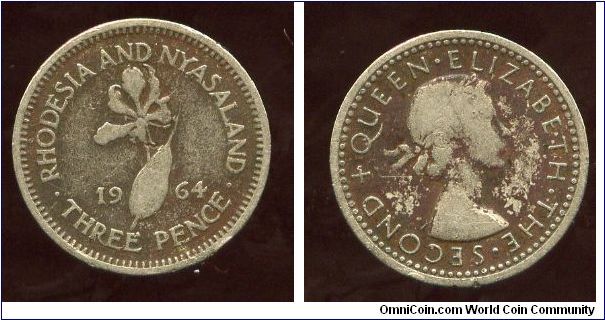 Rhodesia & Nyasaland 
1964
3d Threepence
Flame lily
QEII