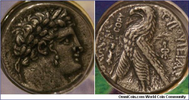 Half Shekel, the temple tax coin, 24 mm (reproduction) From the Coins of the Bible series, Whitman Pub. Inc.
