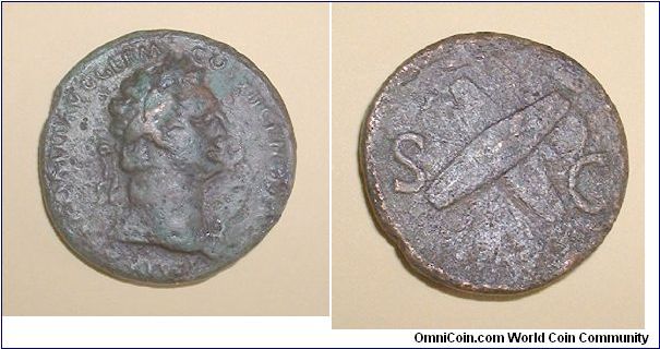 DOMITIAN - Dupondius - IMP CAES DOMIT AVG GERM COS  XII CENS PER P P bust right; S C Two shields - Mm 27 grs 9,7