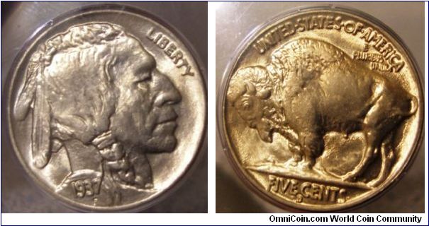 1937D Buffalo Nickel PCGS MS65

OLD Rattler Slab