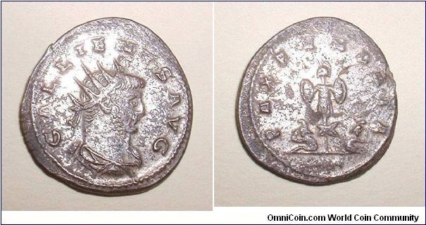 GALLIENUS - Antoninianus - Antioch mint - GALLIENVS AVG, radiate head left / PAX FVNDATA, trophy with a captive on either side, branch right in ex. - Silvered - Mm 22,1 grs 4,1