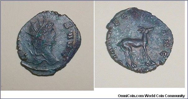 GALLIENUS - Antoninianus - 267/268 - GALLIENVS AVG, radiate bust right / DIANAE CONS AVG, antelope walking right, XI or XII in ex. Mm 20 grs 3