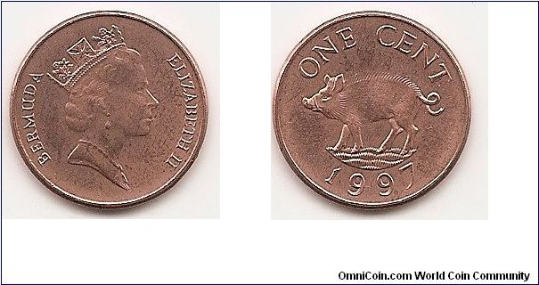 1 Cent
KM#44b
Copper Plated Zinc, 19 mm. Ruler: Elizabeth II Obv: Crowned
head right Rev: Wild boar left Edge: Smooth