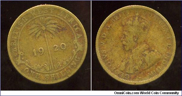 1920
1/-  One Shilling
Palm Tree & date
King George V