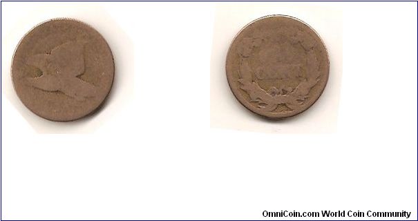 Flying Eagle Cent. She has seen better days :)