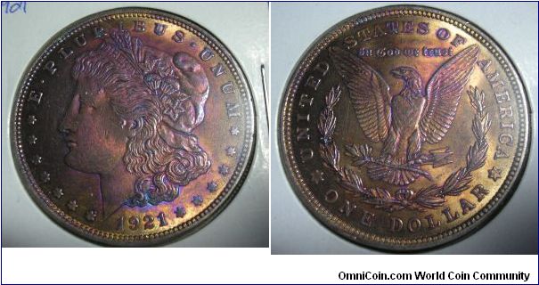 Toned Morgan Dollar