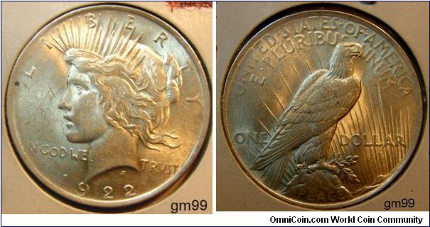 Peace Dollar. Obverse; Liberty Head left. Reverse; Eagle facing right pearched on rock.
Metal Content:
Silver - 90%
Copper - 10%
Weight: 412.5 grains (26.7 grams)
Edge: Reeded
Mintmark: None (for Philadelphia, PA) below ONE on the reverse