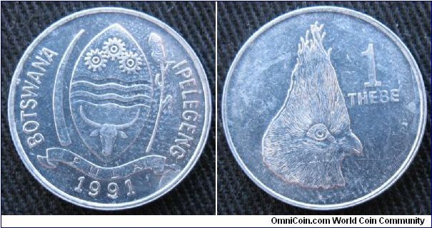 1 thebe, Al, reverse turaco bird facing right