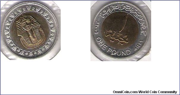 1 Pound