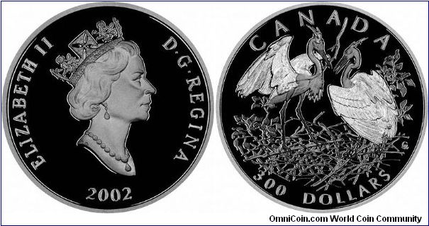 Pair of Great Blue Herons on 2002 Canadian platinum proof one ounce $300, part of a four coin proof set.