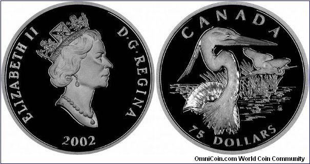 You wait ages to see a great blue heron, then 4 come along at once! The 2002 quarter ounce platinum $75 coin has the neck and head of one heron in the foreground, with another flying in the background.