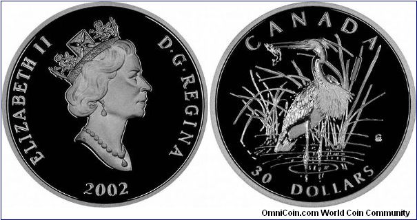 Great Blue Heron with a fish in its bill (beak) on a 2002 tenth ounce platinum $30 coin, part of a four-coin proof set.