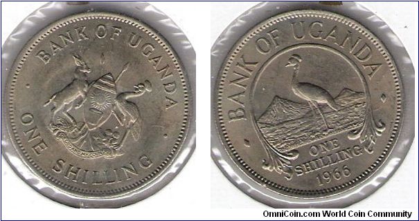 1 Shilling