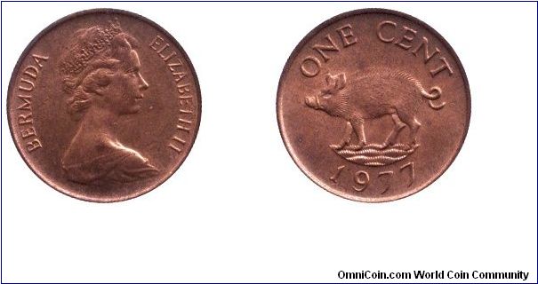 Bermuda, 1 cent, 1977, Bronze, Wild Hog, Queen Elizabeth II.                                                                                                                                                                                                                                                                                                                                                                                                                                                        