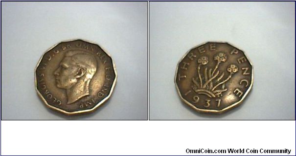 three pence.

GEORGIVS  VI D.
GBR : OMN REX I.D .IND.IMP