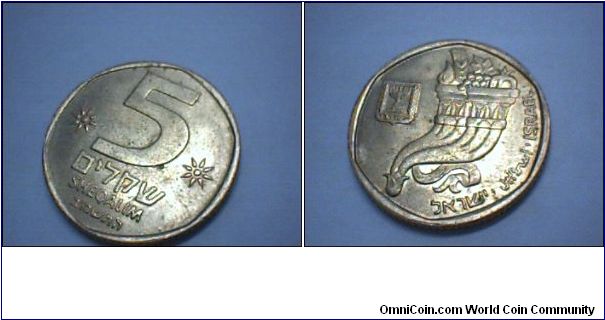 5 SHEKELS , Double cornucopia from a coin from the period of John Hyrcanus I (135 - 104 B.C.E.)