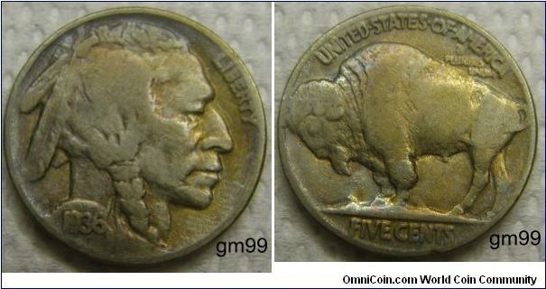 Indian Head (or Buffalo) (1913-1938).1936-Mintmark: None (for Philadelphia) on the reverse below FIVE CENTS