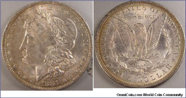 1881 O dollar more dings then I would like to see but does look better in hand.