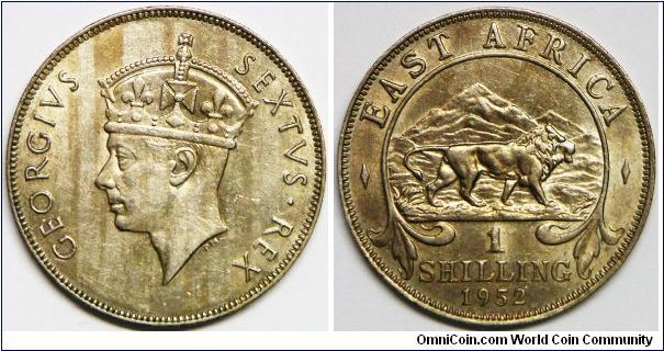 George VI, 1 Shilling, 1952. Copper-Nickel, 27.8mm. Mintage: 55,605,000 units. AU. [SOLD]