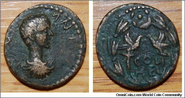 Roman Provincial coin of Caracalla from Heliopolis in Lebanon, Baalbeck or Syria 198-217 AD
Obv desigin: cuirassed bust r.
rev design: two aquilas in wreath
rev legend: COL HEL
ref: Lindgren Coll. III, 1279.
This coin may not have the correct information so if you can identify this coin then please post a comment.