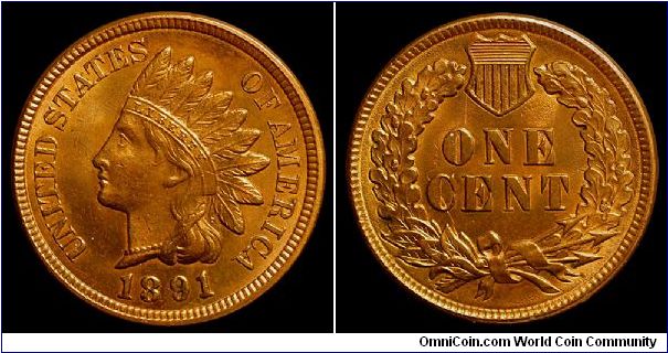 1891 U.S. Indian Head Cent