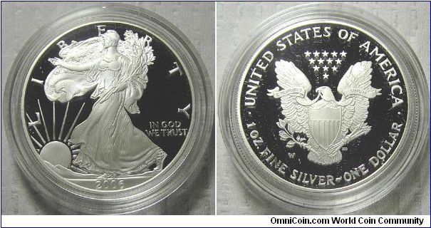 2006W American Eagle, Silver Proof One Dollar