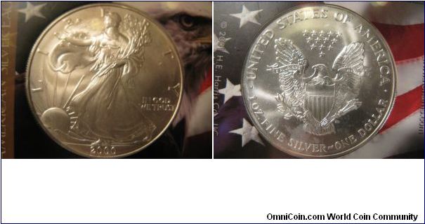 Uncirculated American Eagle
My first eagle. :)