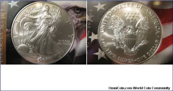 Uncirculated American eagle in holder from a roll.