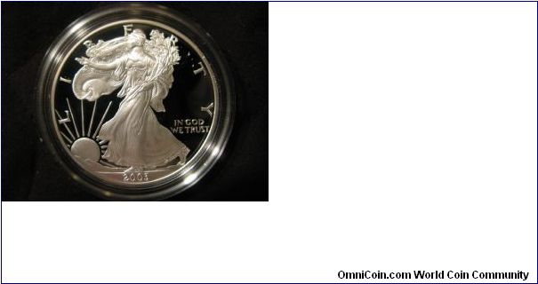 2003 Proof ASE in mint case. I forgot to take reverse pic.