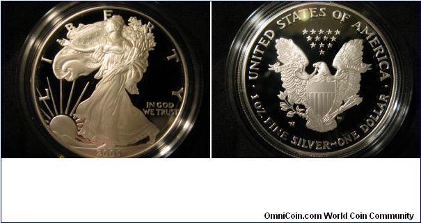 2005 Proof ASE in mint case. Very nice deep cameo.