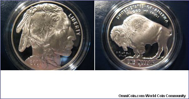 Proof 2001 American Buffalo commemorative dollar. :-)