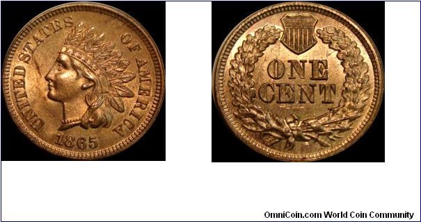 1865 Indian Head Cent
Fancy 5