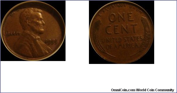 1955 Lincoln Cent
Doubled Die