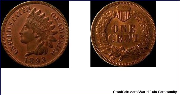 1893 Indian Head Cent